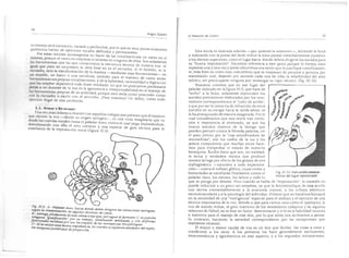 El maestro de canto sergio tulian