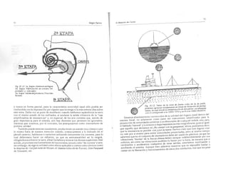 El maestro de canto sergio tulian