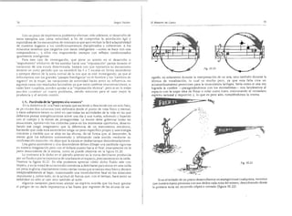 El maestro de canto sergio tulian