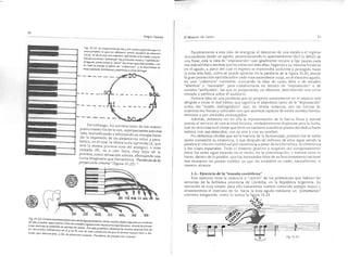 El maestro de canto sergio tulian