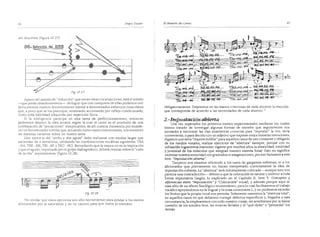 El maestro de canto sergio tulian