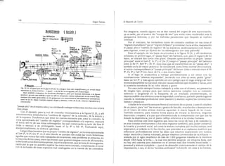 El maestro de canto sergio tulian