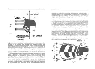 El maestro de canto sergio tulian