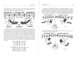 El maestro de canto sergio tulian