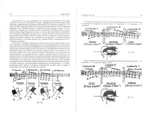 El maestro de canto sergio tulian