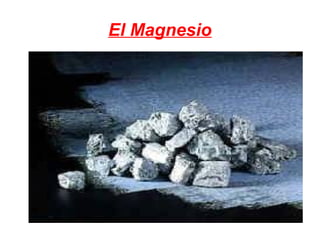 El Magnesio
 