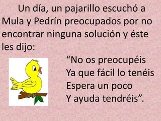 Un día, un pajarillo escuchó a
Mula y Pedrín preocupados por no
encontrar ninguna solución y éste
les dijo:
               “No os preocupéis
               Ya que fácil lo tenéis
               Espera un poco
               Y ayuda tendréis”.
 