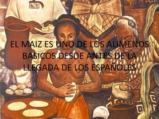 EL MAIZ ES UNO DE LOS ALIMENOS
BASICOS DESDE ANTES DE LA
LLEGADA DE LOS ESPAÑOLES
 