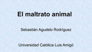 El maltrato animal
Sebastián Agudelo Rodríguez
Universidad Católica Luis Amigó
 
