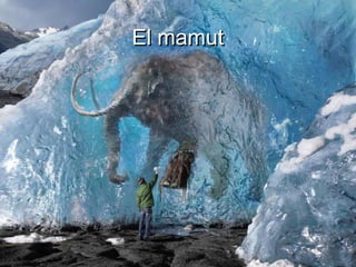 El mamutEl mamut
 