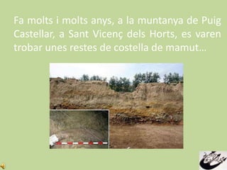 El Mamut Venux Power Point PPTX el-mamut-venux-power-point-pptx