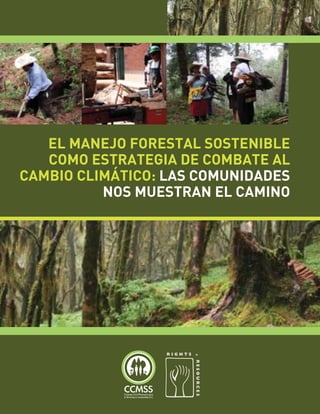 EL MANEJO FORESTAL SOSTENIBLE
   COMO ESTRATEGIA DE COMBATE AL
CAMBIO CLIMÁTICO: LAS COMUNIDADES
          NOS MUESTRAN EL CAMINO
 