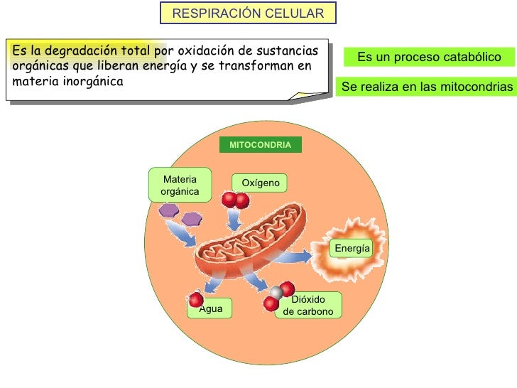 Imagen relacionada
