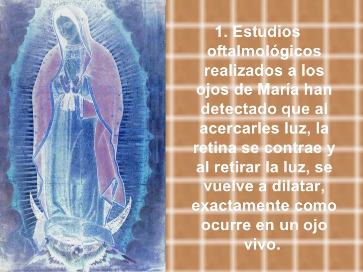 El Manto De La Virgen De Guadalupe