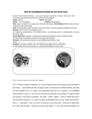 El mapache | DOC