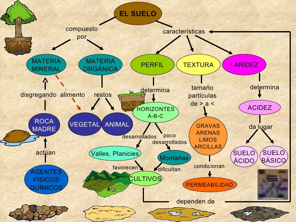 El Mapa Conceptual Explicacion