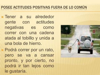 Estimule la honestidad y transparencia en la conversación: las diferencias de opinión son saludables, anime a todos los miembros de la familia a hablar de lo que piensan, nunca los critique o ridiculice.Adopte un estilo de comunicación positivo: quizá  ha adoptado un estilo que reprime la comunicación franca.