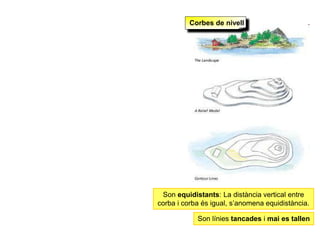 Corbes de nivell
Son equidistants: La distància vertical entre
corba i corba és igual, s’anomena equidistància.
Son línies tancades i mai es tallen
 