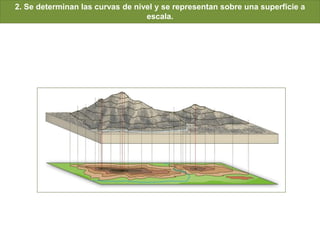 2. Se determinan las curvas de nivel y se representan sobre una superficie a
escala.
 