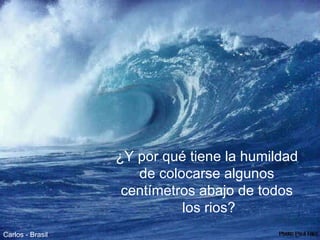 ¿ Y por qué tiene la humildad  de colocarse algunos  centímetros abajo de todos  los rios? Carlos - Brasil 