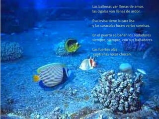 Las ballenas van llenas de amor.
las cigalas van llenas de ardor.

Esa levisa tiene la cara lisa
y las caracolas lucen varias sonrisas.

En el puerto se bañan los nadadores
siempre, siempre, con sus bañadores.

Las fuertes olas
 contra las rocas chocan.
 