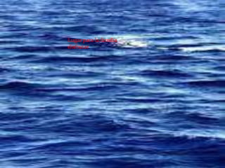 Lugar para la familia
disfrutar