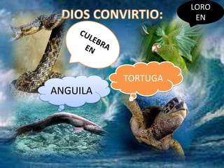 LORO
                     EN




          TORTUGA
ANGUILA
 