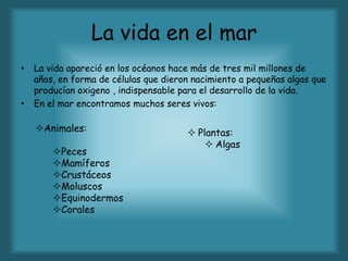 La vida en el mar
• La vida apareció en los océanos hace más de tres mil millones de
años, en forma de células que dieron nacimiento a pequeñas algas que
producían oxigeno , indispensable para el desarrollo de la vida.
• En el mar encontramos muchos seres vivos:
Animales:
Peces
Mamíferos
Crustáceos
Moluscos
Equinodermos
Corales
 Plantas:
 Algas
 