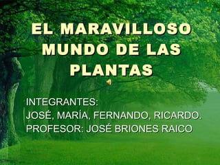 EL MARAVILLOSO MUNDO DE LAS PLANTAS INTEGRANTES:  JOSÉ, MARÍA, FERNANDO, RICARDO. PROFESOR: JOSÉ BRIONES RAICO 