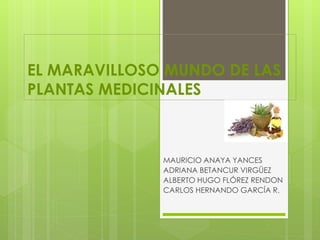 EL MARAVILLOSO MUNDO DE LAS 
PLANTAS MEDICINALES 
MAURICIO ANAYA YANCES 
ADRIANA BETANCUR VIRGÜEZ 
ALBERTO HUGO FLÓREZ RENDON 
CARLOS HERNANDO GARCÍA R. 
 