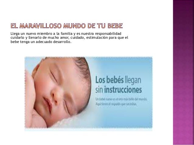 El Maravilloso Mundo De Tu Bebe