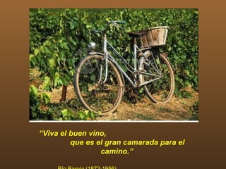 “Viva el buen vino,
         que es el gran camarada para el
                 camino.”
 