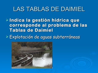 LAS TABLAS DE DAIMIEL Indica la gestión hídrica que corresponde al problema de las Tablas de Daimiel Explotación de aguas subterráneas 