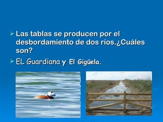 Las tablas se producen por el desbordamiento de dos ríos.¿Cuáles son? EL Guardiana   y  El Gigüela. 