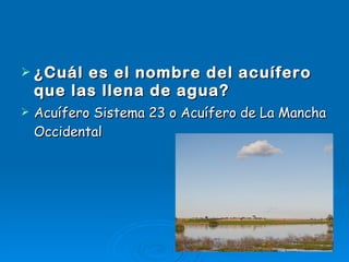 ¿Cuál es el nombre del acuífero que las llena de agua? Acuífero Sistema 23 o Acuífero de La Mancha Occidental 