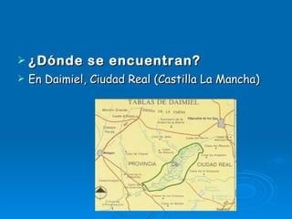 ¿Dónde se encuentran? En Daimiel, Ciudad Real (Castilla La Mancha) 