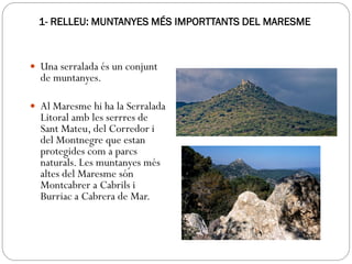 1- RELLEU: MUNTANYES MÉS IMPORTTANTS DEL MARESME
 Una serralada és un conjunt
de muntanyes.
 Al Maresme hi ha la Serralada
Litoral amb les serrres de
Sant Mateu, del Corredor i
del Montnegre que estan
protegides com a parcs
naturals. Les muntanyes més
altes del Maresme són
Montcabrer a Cabrils i
Burriac a Cabrera de Mar.
 