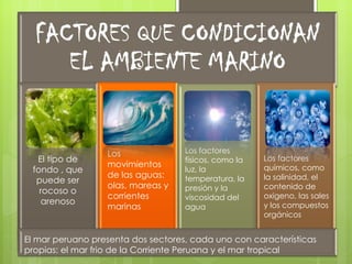 Los               Los factores
  El tipo de                        físicos, como la   Los factores
                  movimientos                          químicos, como
 fondo , que                        luz, la
                  de las aguas:     temperatura, la    la salinidad, el
  puede ser
                  olas, mareas y    presión y la       contenido de
   rocoso o
                  corrientes        viscosidad del     oxigeno, las sales
    arenoso                                            y los compuestos
                  marinas           agua
                                                       orgánicos


El mar peruano presenta dos sectores, cada uno con características
propias: el mar frio de la Corriente Peruana y el mar tropical
 