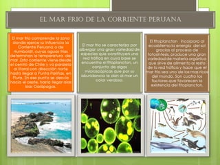 El mar frio.ppt  1