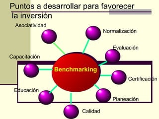 Educación
Planeación
Capacitación
Evaluación
Certificación
Normalización
Calidad
BenchmarkingBenchmarking
Asociatividad
Puntos a desarrollar para favorecer
la inversión
 