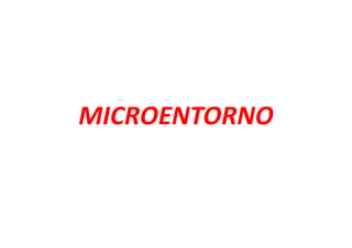 MICROENTORNO
 