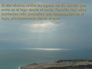 El Mar Muerto recibe las aguas del río Jordán que entra en el lago desde el norte. También hay otras corrientes más pequeñas que desembocan en el lago, principalmente desde el este. 
