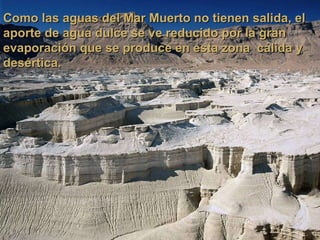 Como las aguas del Mar Muerto no tienen salida, el aporte de agua dulce se ve reducido por la gran evaporación que se produce en esta zona  cálida y desértica. 
