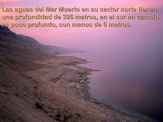 Las aguas del Mar Muerto en su sector norte tienen una profundidad de 396 metros, en el sur en cambio es poco profundo, con menos de 6 metros. 