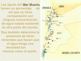 Las aguas del  Mar Muerto  tienen un porcentaje  de sal que no tiene comparación con ninguna concentración de agua salada existente en otra parte del mundo. Eso también determina la presencia de otros minerales que hacen que el agua tenga una densidad tan  viscosa como el aceite.   
