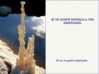 SI TE GUSTÓ ENVÍALO A TUS AMISTADES. Si no te gustó elimínalo. 