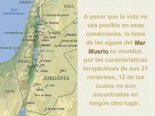 A pesar que la vida no sea posible en esas condiciones, la fama de las aguas del  Mar Muerto  es mundial, por las características terapéuticas de sus 21 minerales, 12 de los cuales no son encontrados en ningún otro lugar.   