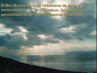 El Mar Muerto tiene 76 kilómetros de largo y un ancho máximo de 16 kilómetros. Su superficie aproximada es de 1049 kilómetros cuadrados. 