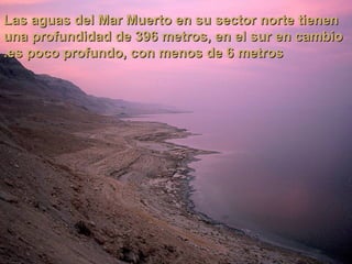 Las aguas del Mar Muerto en su sector norte tienen
una profundidad de 396 metros, en el sur en cambio
.es poco profundo, con menos de 6 metros
 