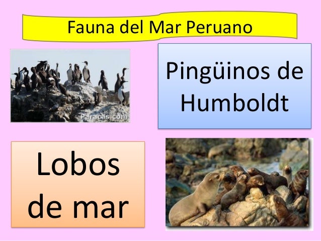 El Mar de Grau